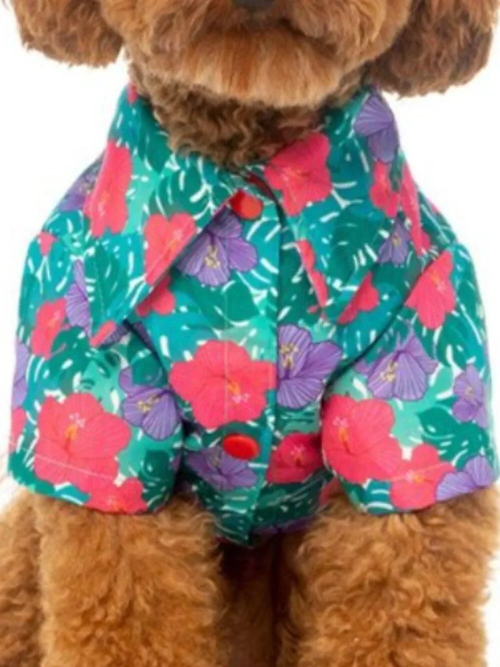 FuzzYard Lahaina Hawaiian Dog Shirt Size 6